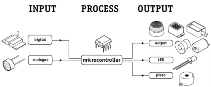 Input–Process–Output Cycle of a Microcontroller